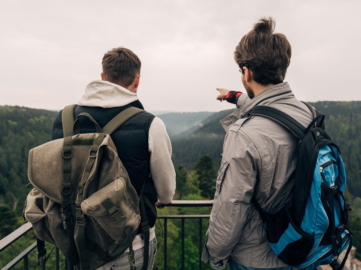 Zwei Männer stehen auf einer Aussichtsplattform über den Wald und zeigen in die Ferne.