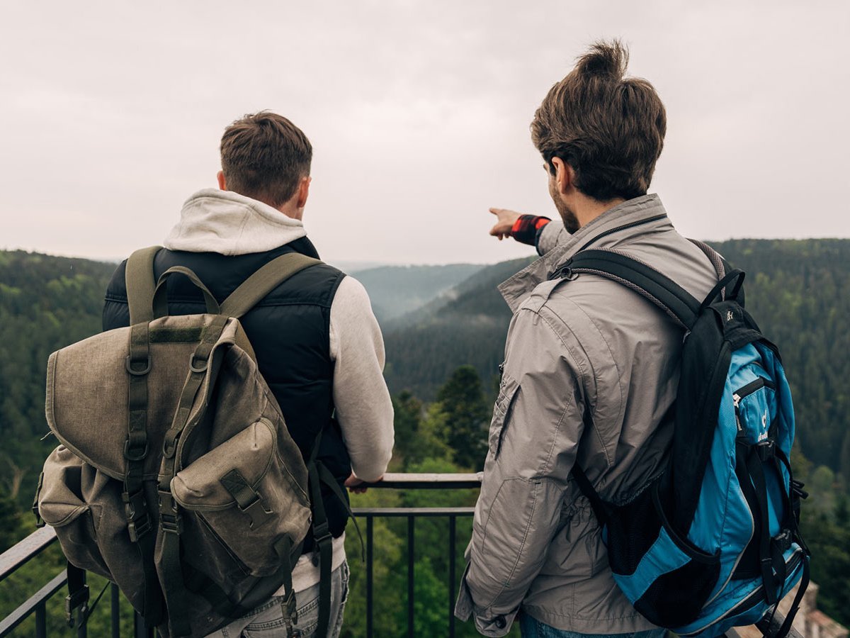 Zwei junge Männer stehen auf einer Aussichtsplattform im Wald und zeigen in die Ferne.