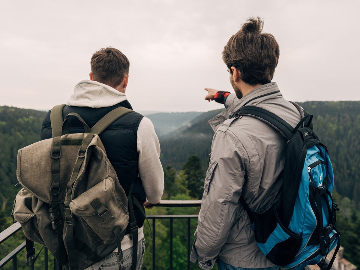 Zwei junge Männer stehen auf einer Aussichtsplattform über dem Wald und zeigen in die Ferne.