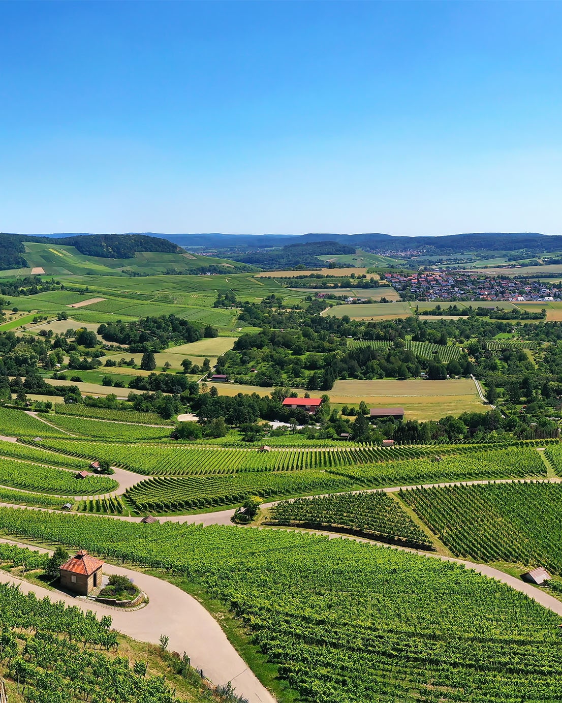 Weinberge