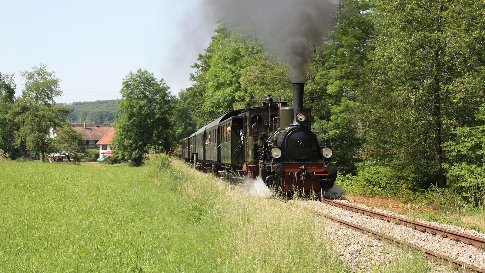 Eine rußende Dampflokomotive, der am Waldrand vorbeifährt