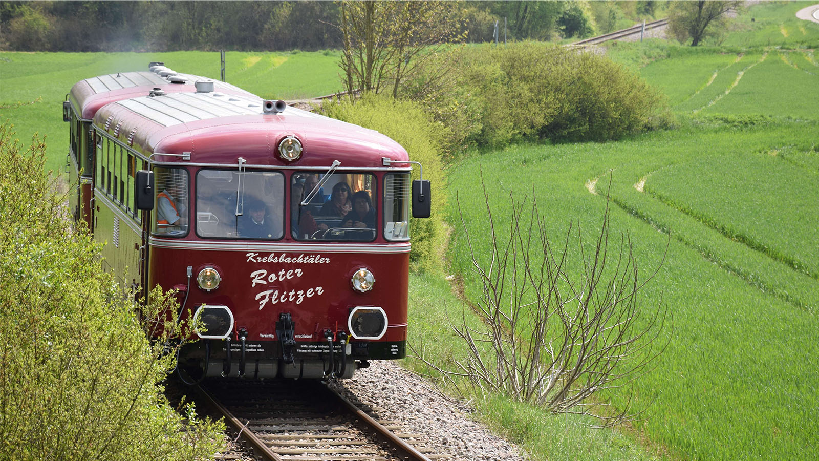 Ein roter Schienenbus auf einer grünen Wiese