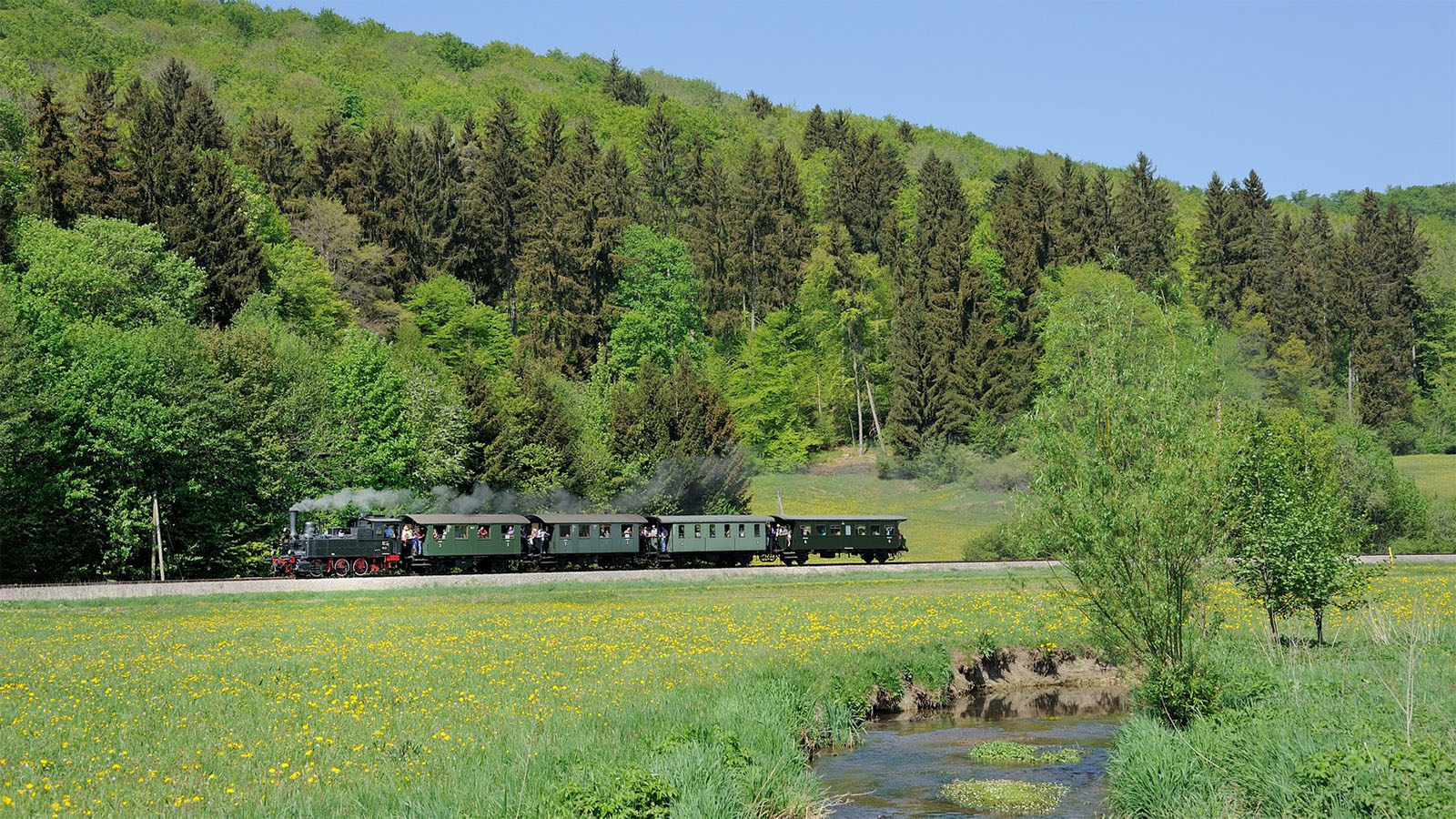 Historische, schwarze Bahn, die durch eine grüne Waldlandschaft fährt