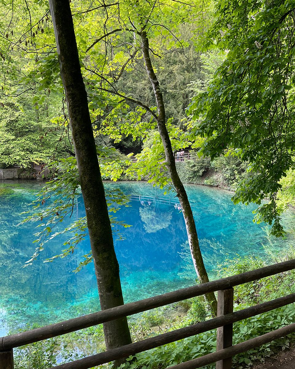 Blick aus dem Wald auf einen hellblauen See.