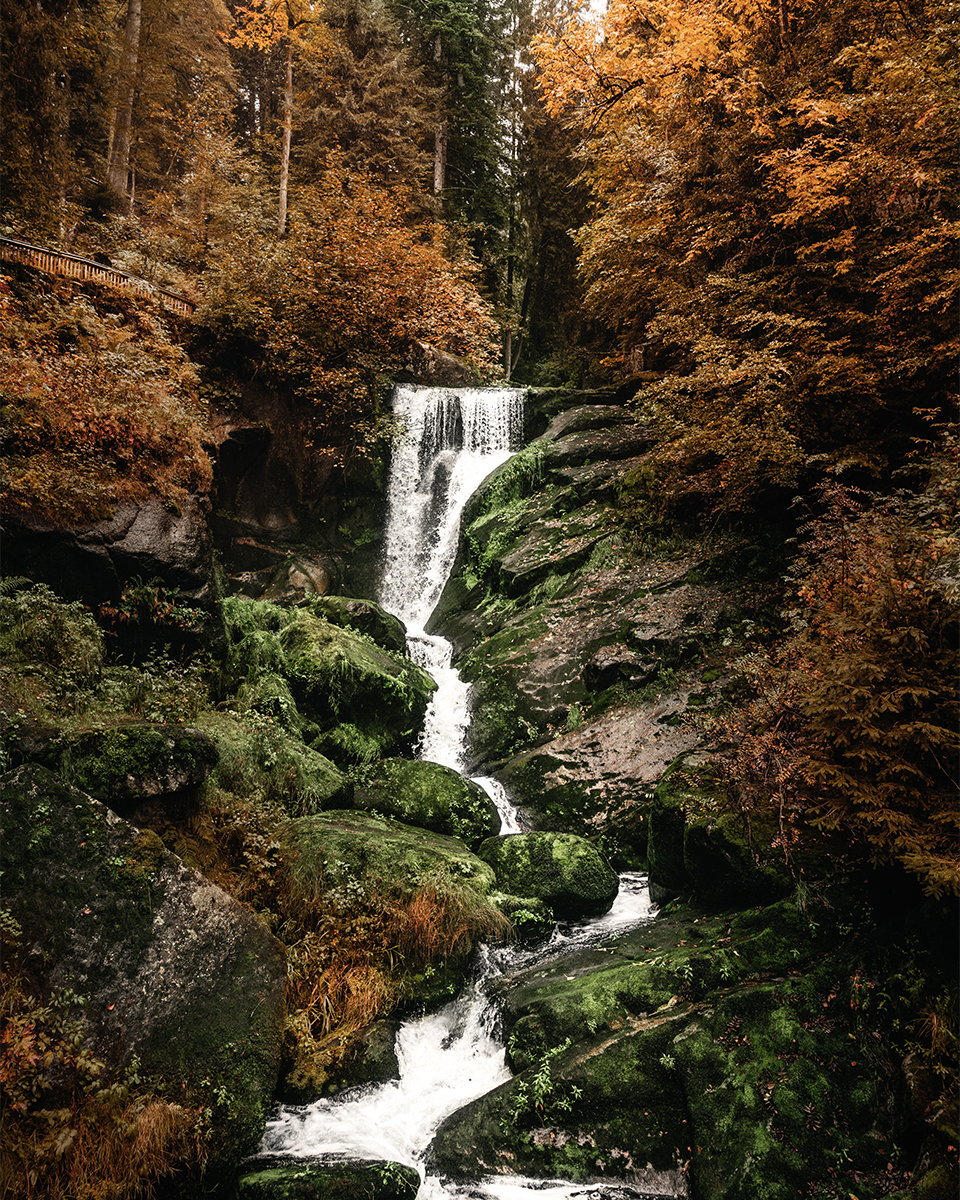 Blick auf die Triberger Wasserfälle: Wasserfälle schlängeln sich zwischen Steinen einen Weg ins Tal inmitten eines rötlichen Waldes.