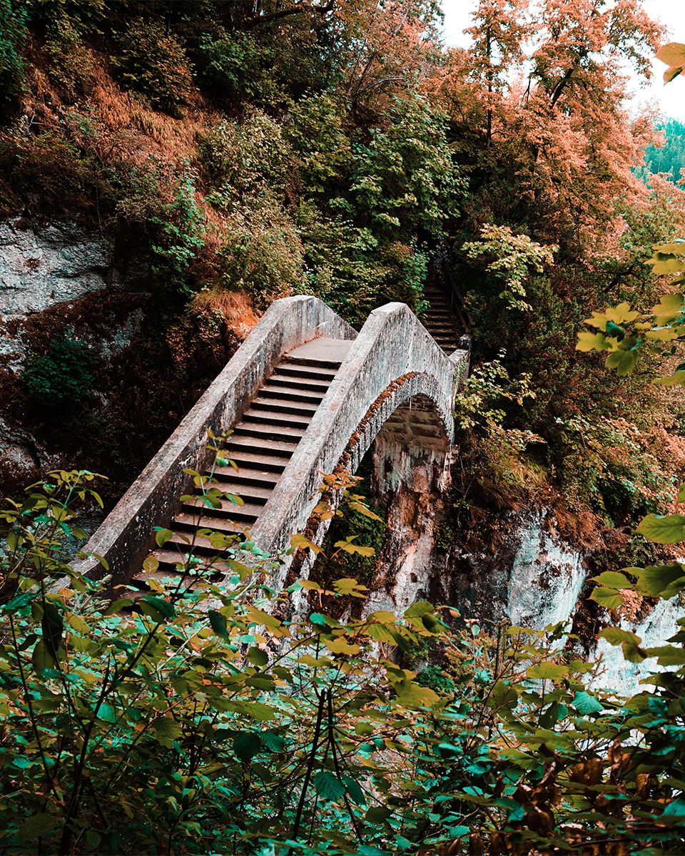 Kleine Brücke spannt über ein Tal inmitten des Waldes.