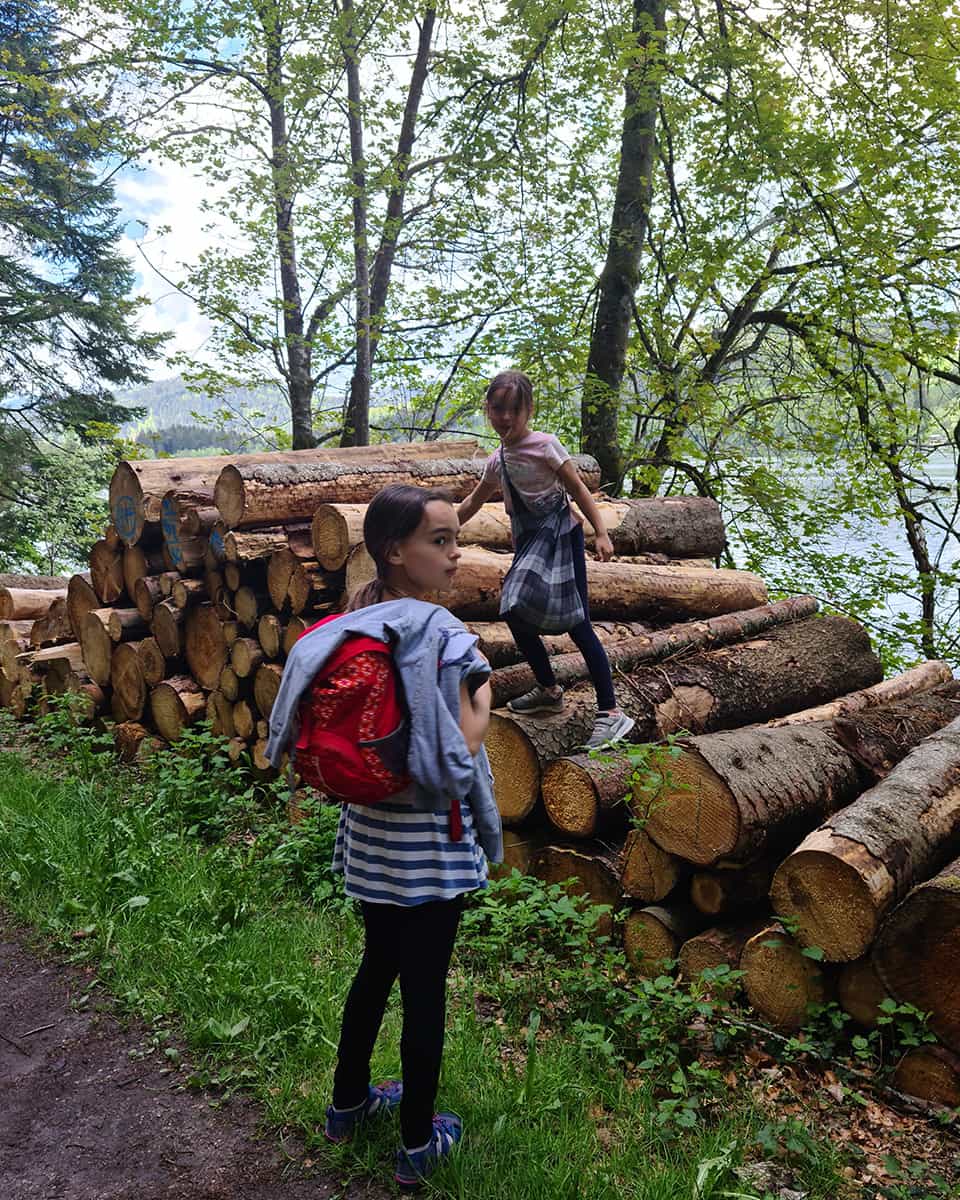 Zwei junge Mädchen klettern im Wald auf einem Stapel Baumstämme herum.