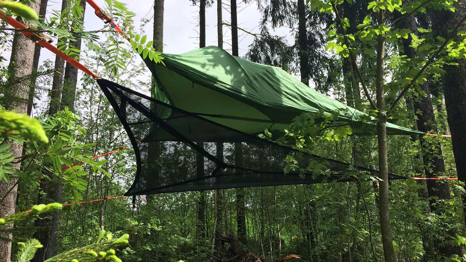 Zwischen den Bäumen im Wald hängt ein Zelt.