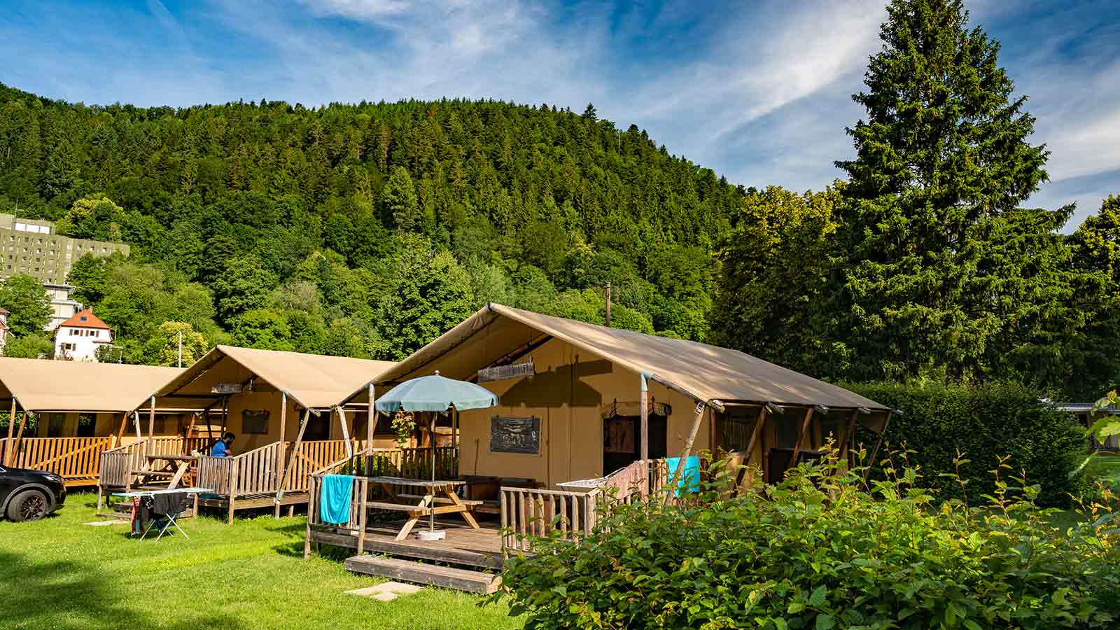 Safari-Hütten stehen im Vordergrund. Im Hintergrund ist Wald zu sehen.