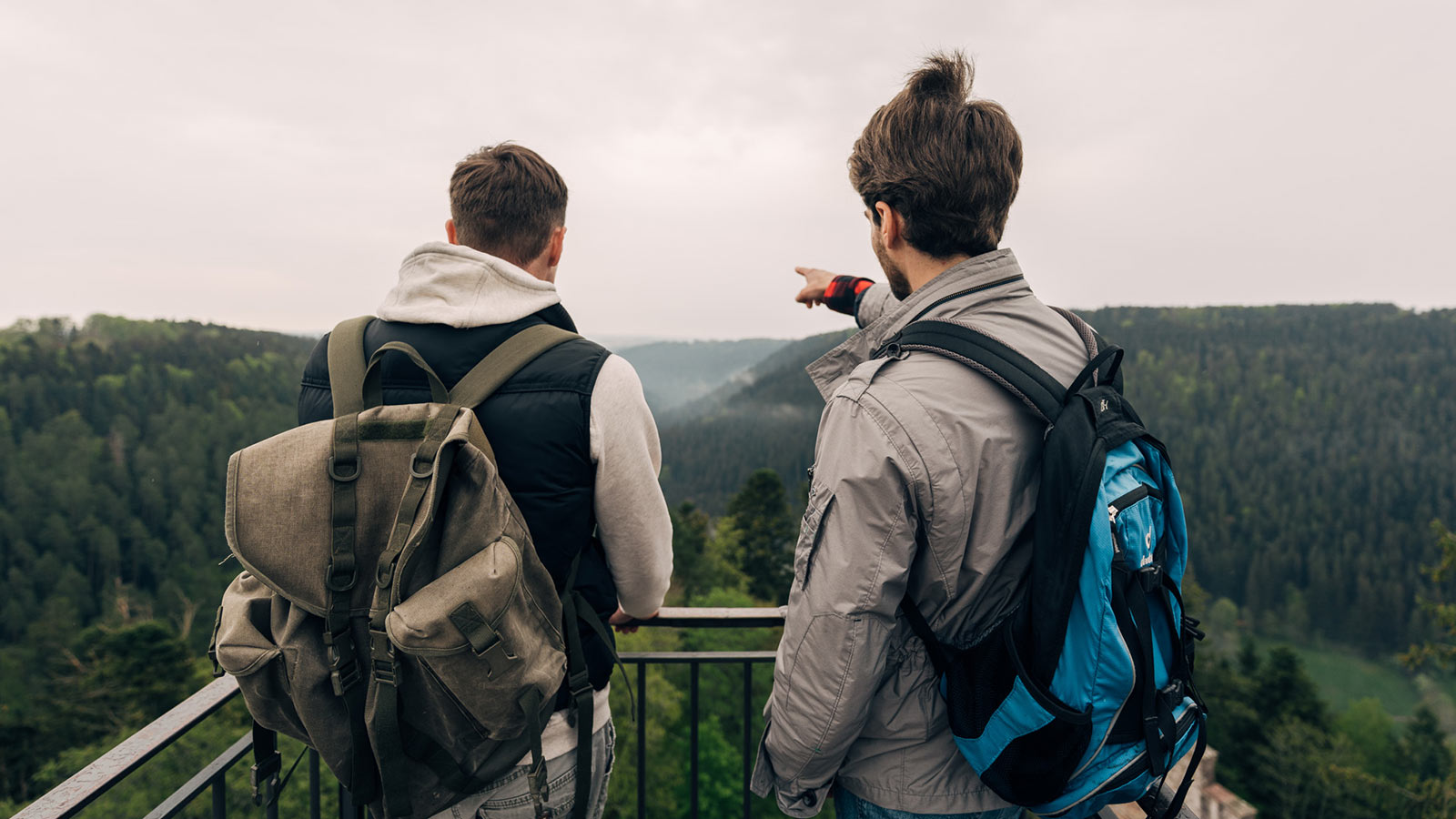 Zwei junge Männer stehen mit dem Rücken zur Kamera auf einer Aussichtplattform im Wald.