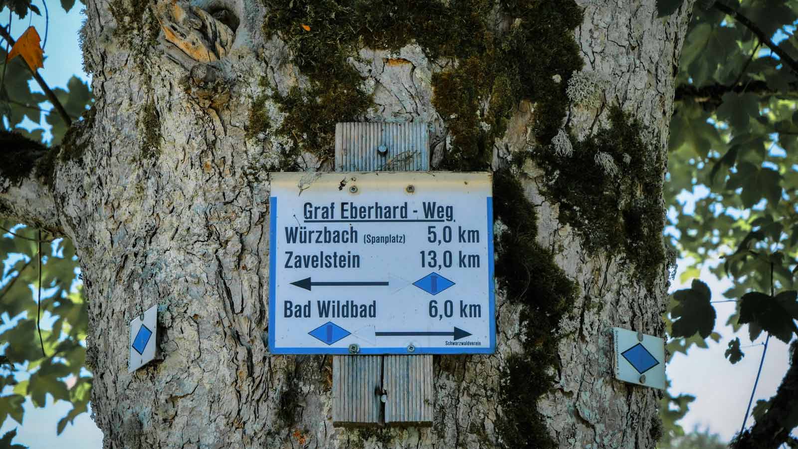 Schild am Baum zeigt Wegdistanzen an.