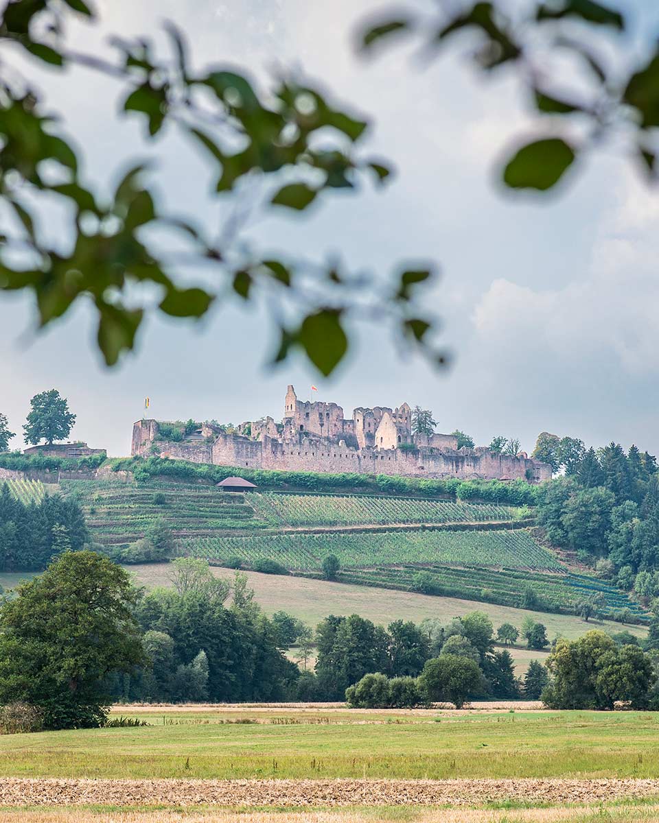 Aussicht auf eine alte Festung auf einer Anhöhe.