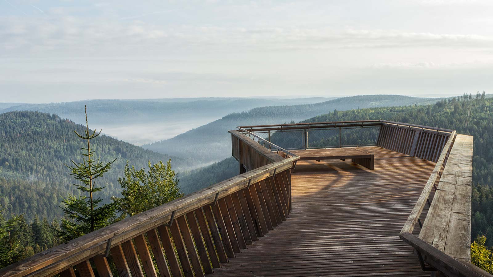 Aussichtsplattform mit Blick auf See und Wald.