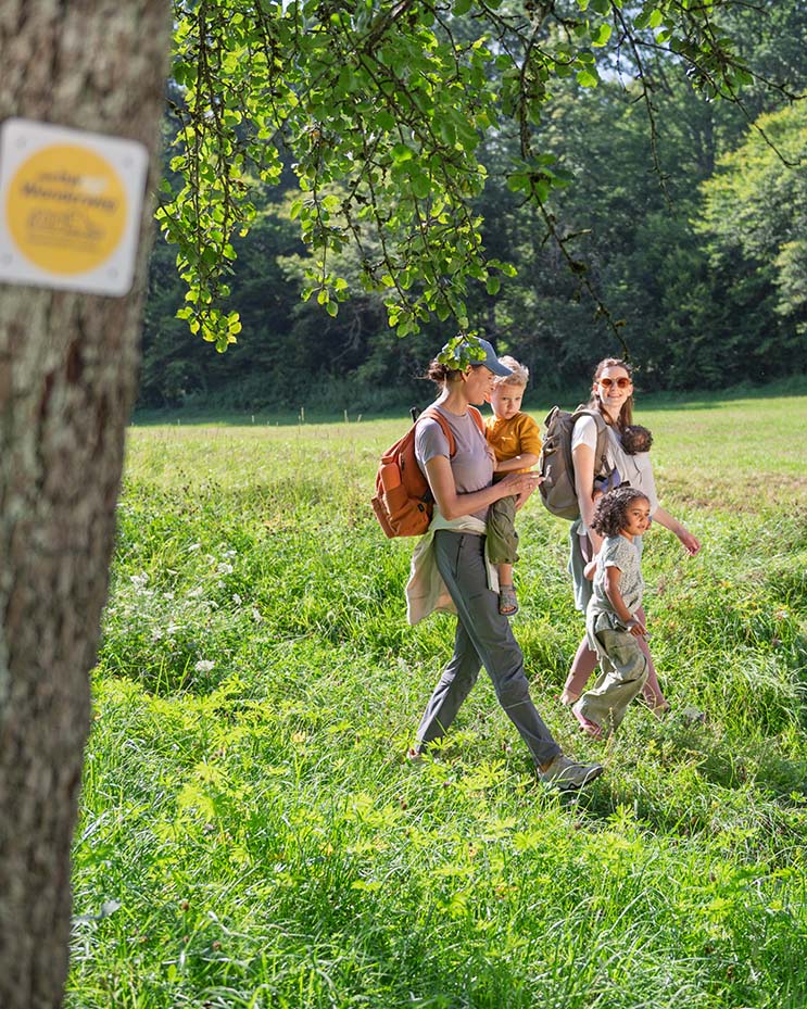 Eine Familie wandert mit drei Kindern durchs Grüne einen bwegt-Wanderweg entlang